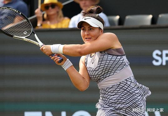 森林狼另一 森林狼另一